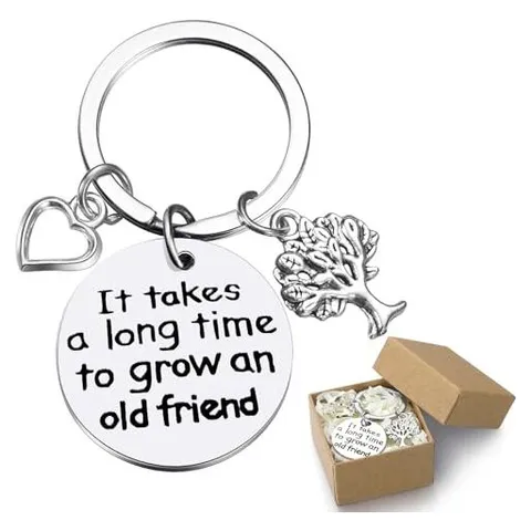 Hoolerry Old Friend Charm Keychains
